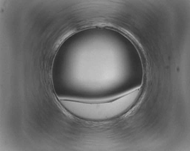 X0000062621289200512210902