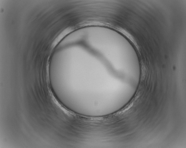 X0000062621290200512210902