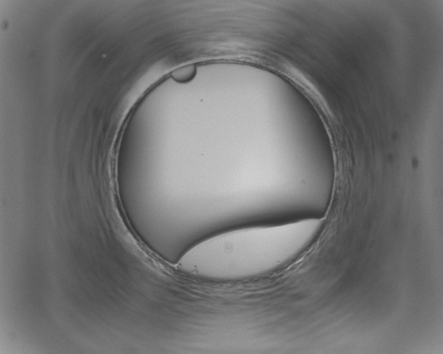 X0000062621291200512210902