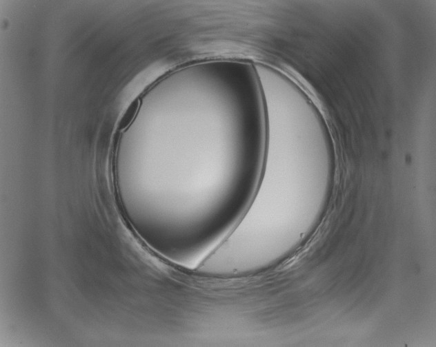 X0000062621293200512210902