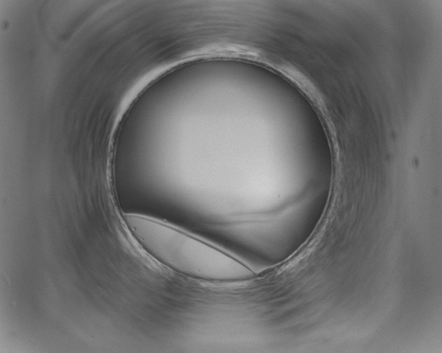 X0000062621296200512210902