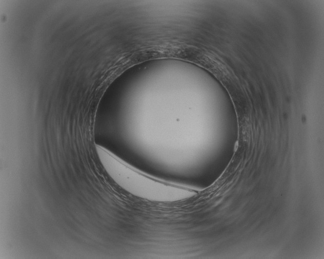 X0000062621298200512210901