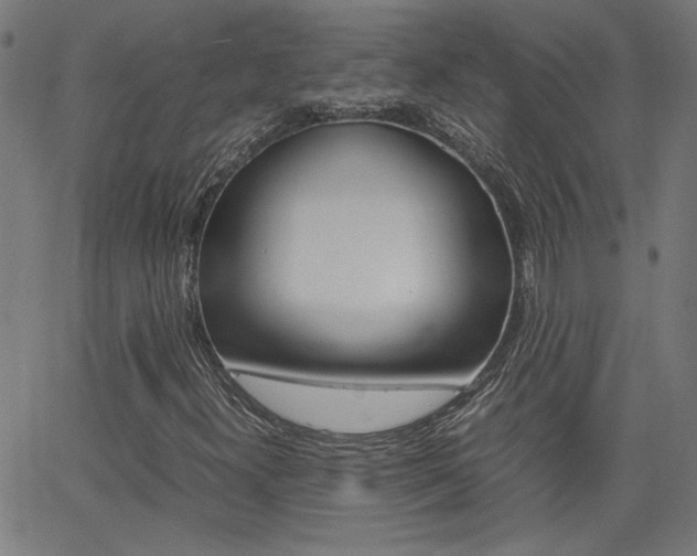 X0000062621300200512210902