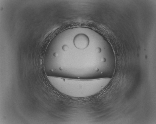 X0000062621302200512210902