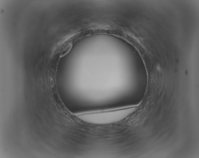 X0000062621303200512210902