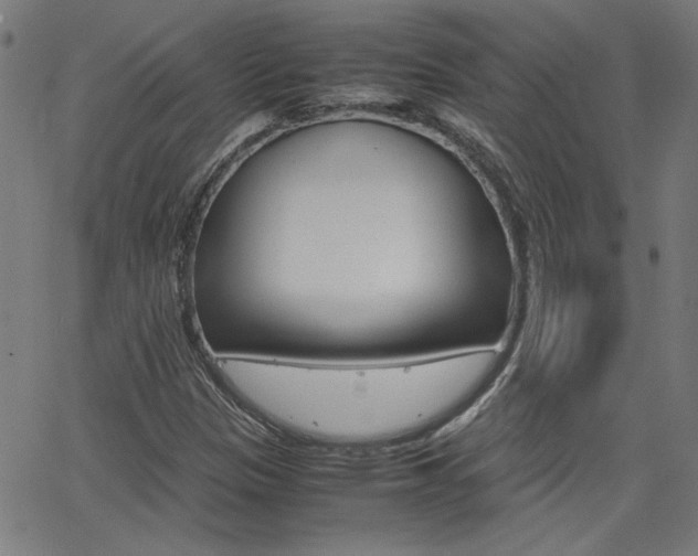 X0000062621305200512210902