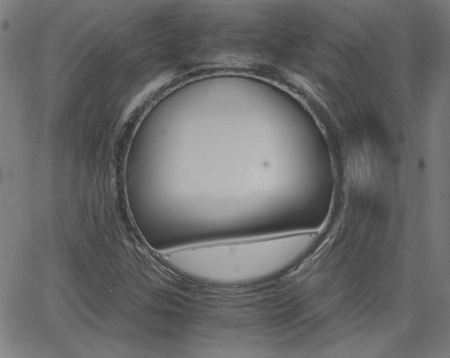 X0000062621307200512210902