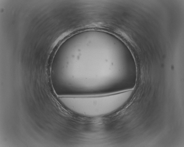 X0000062621308200512210902