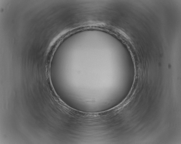X0000062621310200512210902