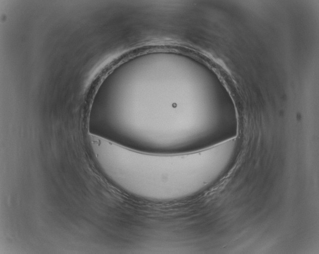 X0000062621311200512210902
