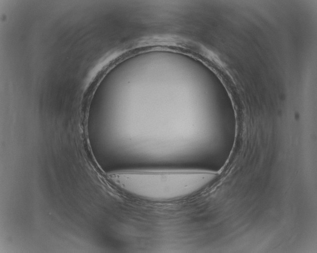 X0000062621312200512210902