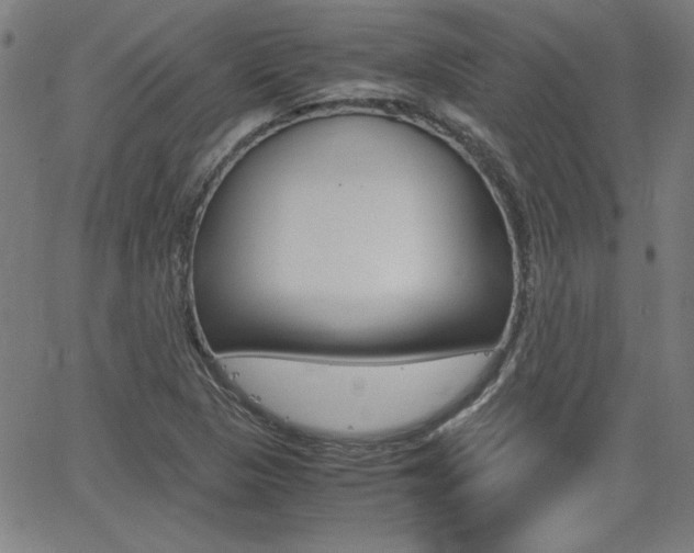 X0000062621313200512210902