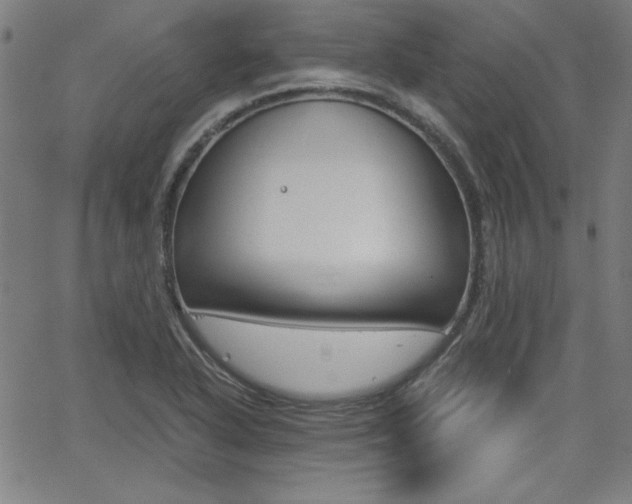 X0000062621318200512210902