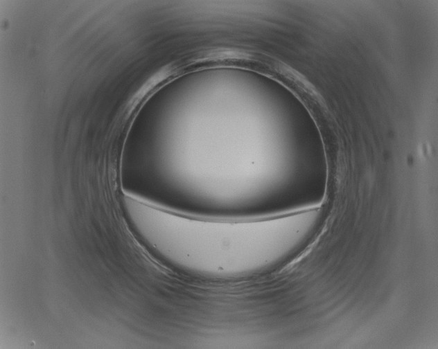X0000062621321200512210902