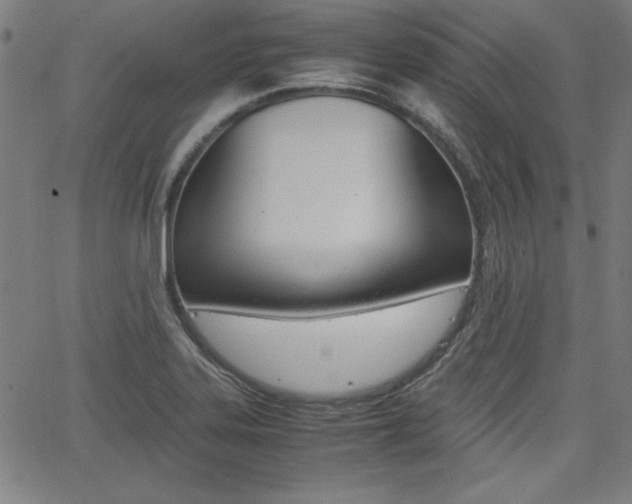 X0000062621323200512210902