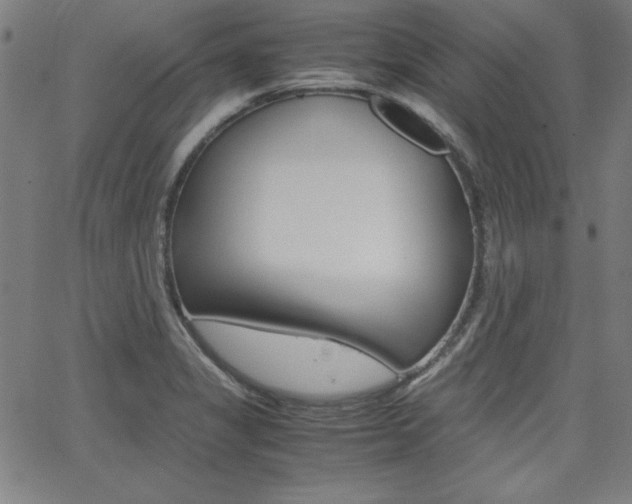 X0000062621325200512210902