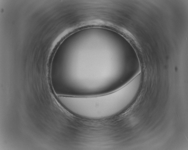 X0000062621326200512210902
