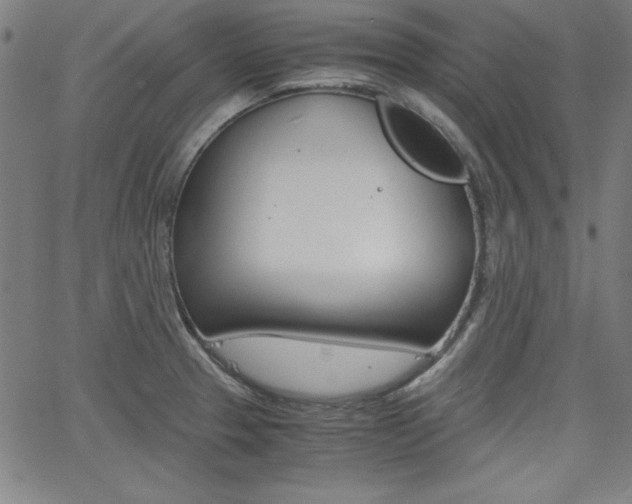 X0000062621329200512210902