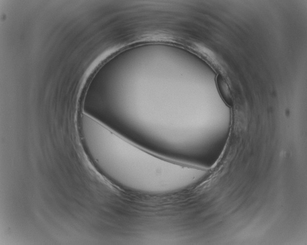 X0000062621331200512210902