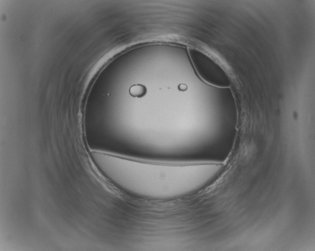 X0000062621332200512210902