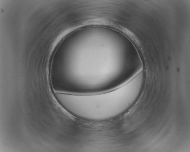 X0000062621334200512210902