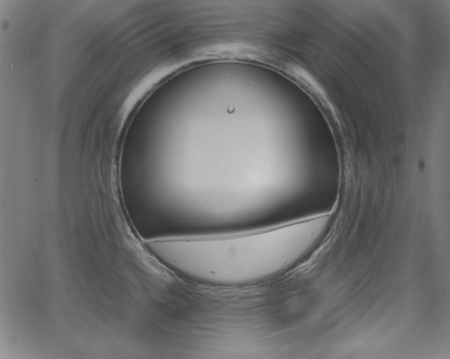 X0000062621336200512210902