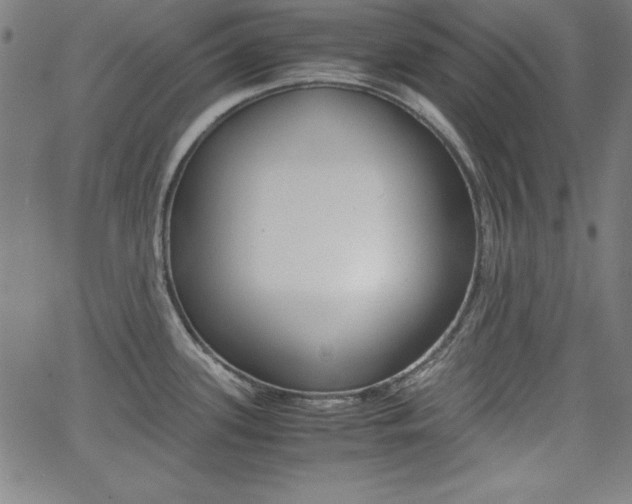 X0000062621339200512210902