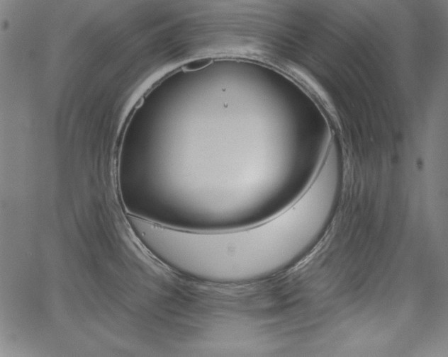 X0000062621340200512210902
