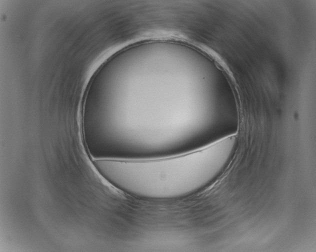 X0000062621343200512210902