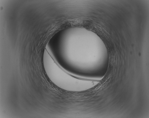 X0000062621345200512210901