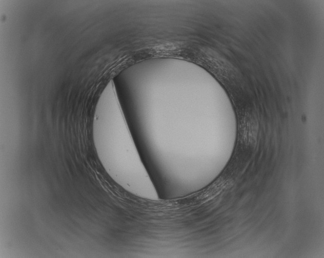 X0000062621346200512210901