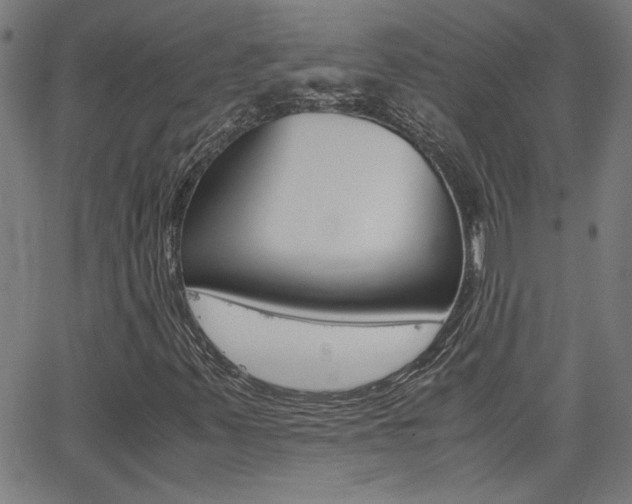 X0000062621347200512210901