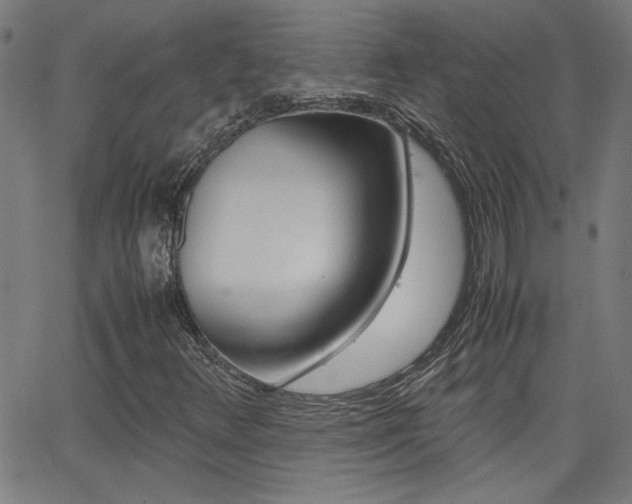 X0000062621348200512210901