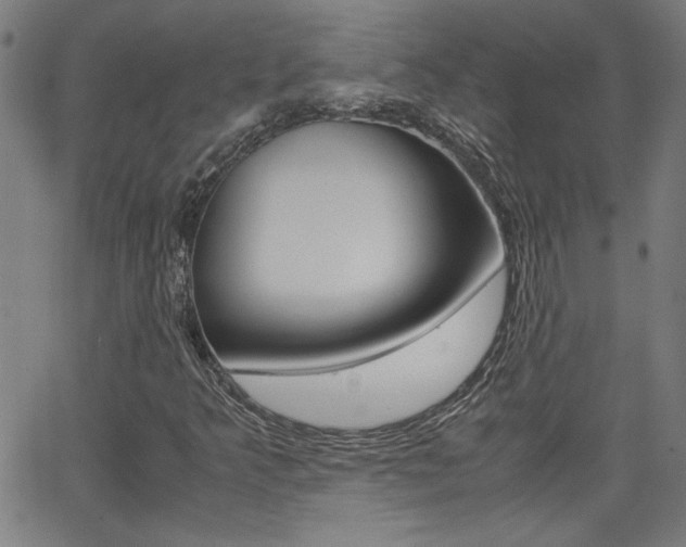 X0000062621349200512210901