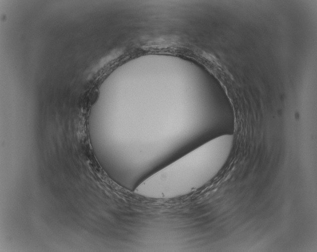 X0000062621350200512210901
