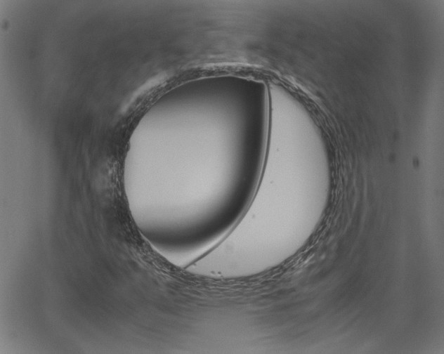 X0000062621351200512210901
