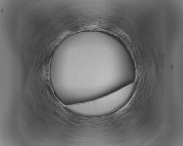 X0000062621353200512210901