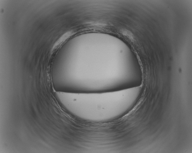 X0000062621354200512210901