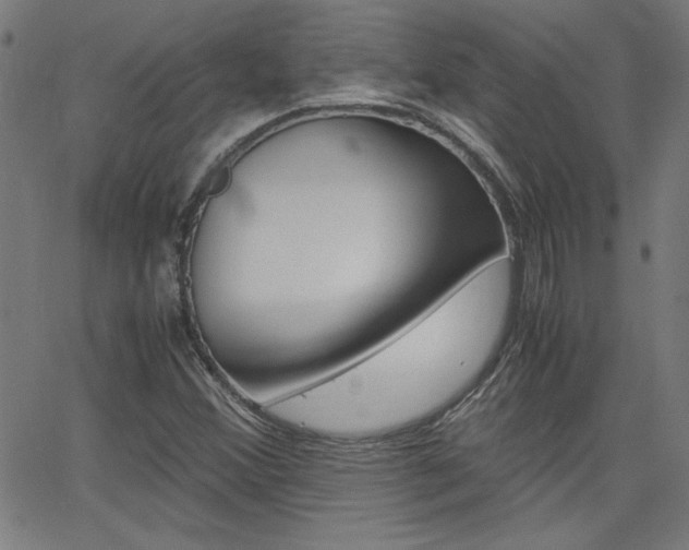 X0000062621356200512210901