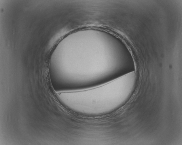 X0000062621359200512210901