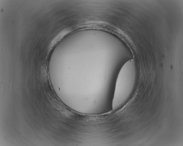 X0000062621362200512210901