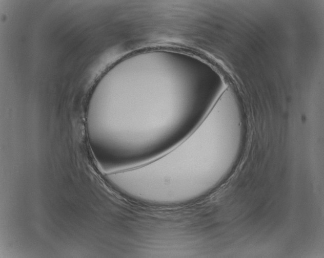 X0000062621363200512210901