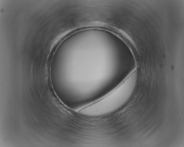 X0000062621364200512210901