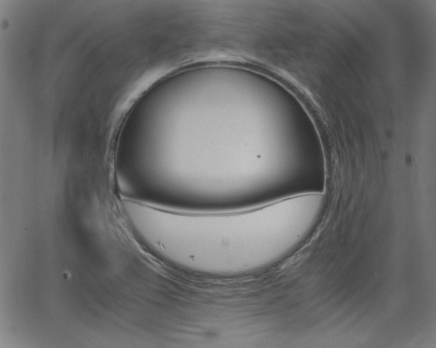 X0000062621367200512210901