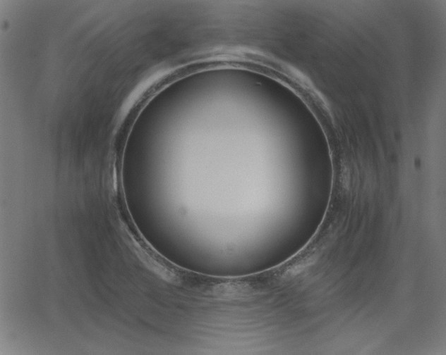 X0000062621368200512210901