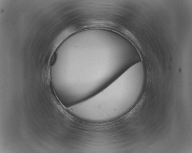 X0000062621370200512210901