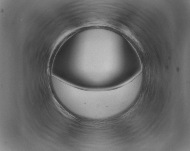 X0000062621372200512210901