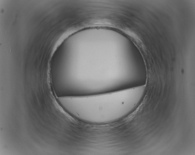 X0000062621374200512210901