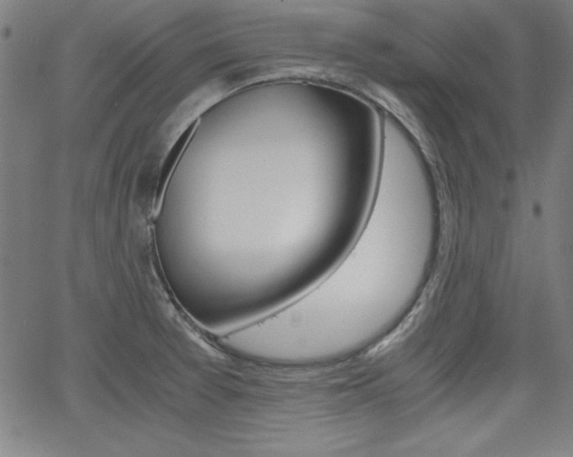 X0000062621377200512210901