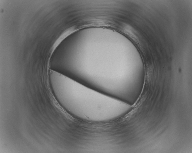 X0000062621378200512210901